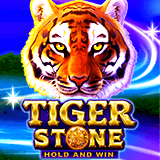 Tiger-stone